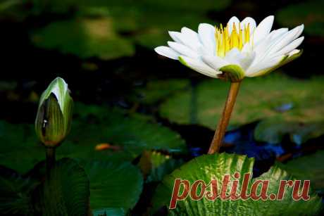 Редактировать описание