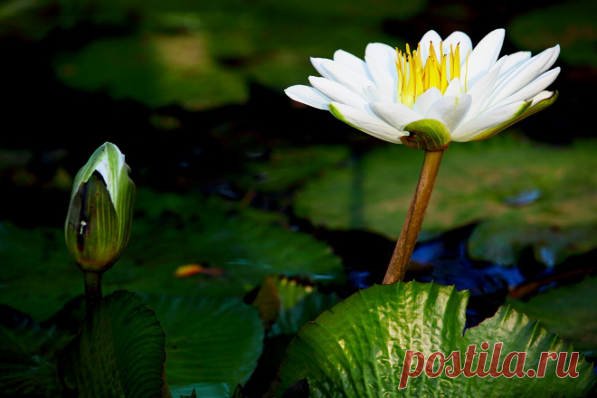 Редактировать описание