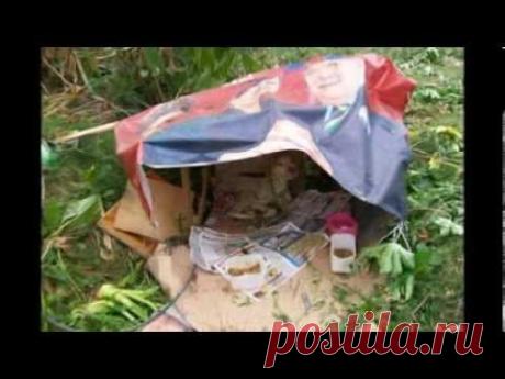Rescate de un Pitbull llamado "davi" gracias a ti Wilson Martins Coutinho
