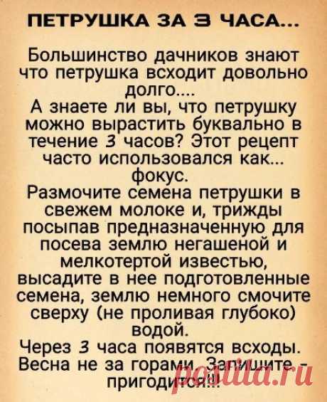 Сохрани, возможно в будущем пригодится.