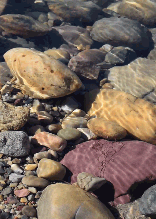 I love gemista, riverwindphotography: Ripples of Light: Clear...