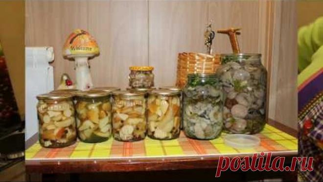 Засолка грибов холодным способом .