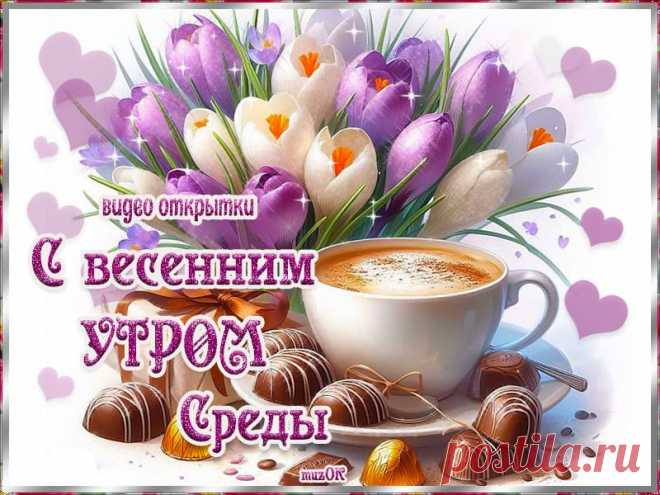 С весенним утром среды. Видео открытки. Скачать * МУЗыкальный подарОК Красивые видео открытки с добрым весенним утром среды. Скачать бесплатно. Встречаем среду. Пусть день заладится с утра.