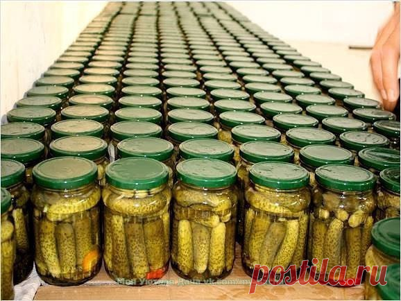 ТОП-10 самых вкусных заготовок из огурцов

1. Огурцы с красной смородиной
На дно литровой банки уложить пряную зелень: листья хрена, красной смородины, эстрагон, затем положить огурцы, заполняя пространство между ними кистями красной смородины. Залить горячей заливкой: на 1 л воды – 50-60 г соли, стерилизовать 10 минут, закатать. Огурцы приобретают необычный пикантный вкус.
Показать полностью...