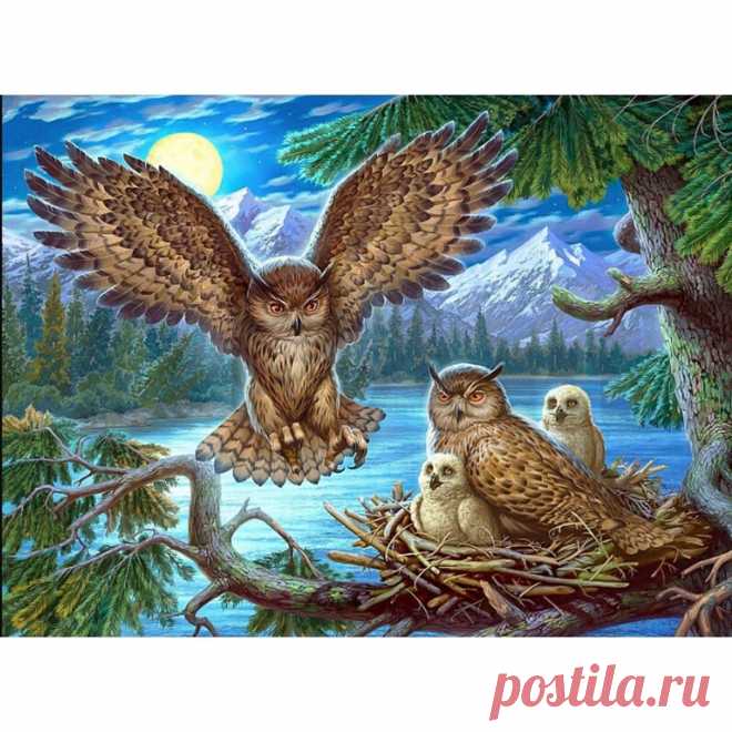Owl Family Diamond Art Painting Kit STRESS RELIEF ON A CANVAS New to Diamond Painting and just starting out?   Are you a seasoned Diamond Painting pro looking for new designs and a better customer experience? Diamond Art Gifts has what you need:   Each of our premium quality Diamond Painting Kits comes in 2 to 4 different sizes. We have smaller sizes per