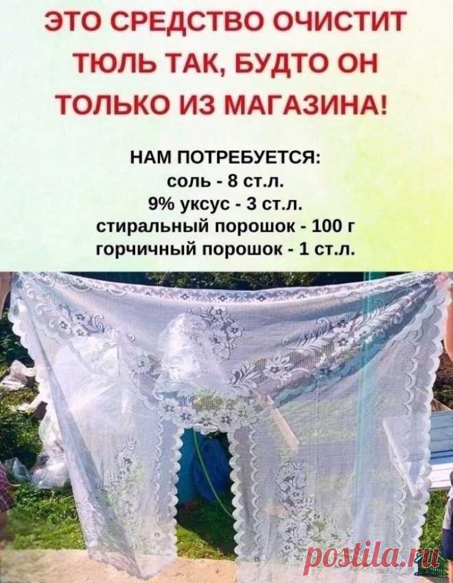 wxobeH8LimU.jpg (714×919)