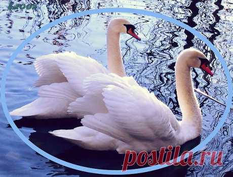 Мой Мир@Mail.Ru