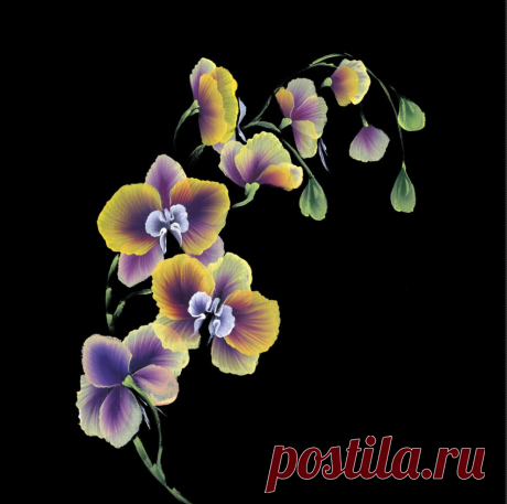 Рисунки плоской кистью от Юлии Белей