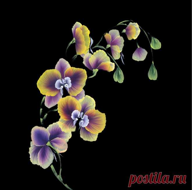 Рисунки плоской кистью от Юлии Белей