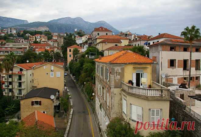 (4) Olga Vasilevskaya
Herceg Novi