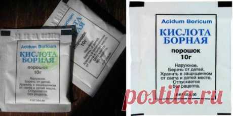 ИСПОЛЬЗОВАНИЕ БОРНОЙ КИСЛОТЫ В БЫТУ