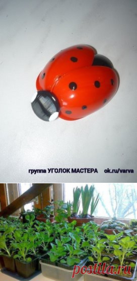 (4) Одноклассники