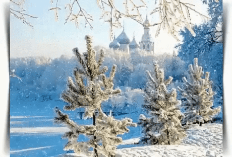 ⓥⓐшⓐ ℋ ~ℓo√ﻉ
Легчайший снег на крыльях белых 
Спускался медленно с небес. 
И вот пространство онемело, 
И мягко засветился лес. 
В одежды белые одетый, 
Он наполнялся, чуть дыша, 
Тем внутренним, тем тайным светом, 
Которым светится душа. 
И стала тяжесть легче пуха, 
И тихо Божья благодать 
Учила нас на крыльях Духа 
Над всею мукою взлетать. 
(Зинаида Миркина)
