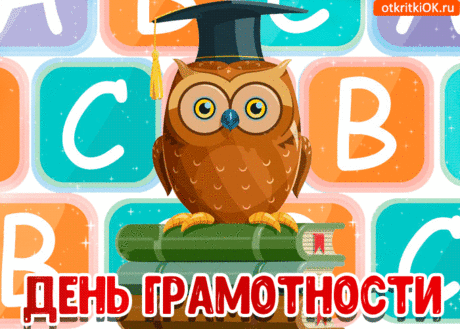 День грамотности отмечает
Сегодня шарик наш земной,
Пусть свод канонов, четких правил
Шагает по пути с тобой.