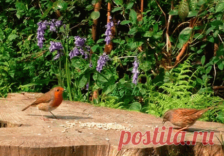 (100) радик васюков - Оренбург, Оренбургская обл., Россия, 59 лет на Мой Мир@Mail.ru