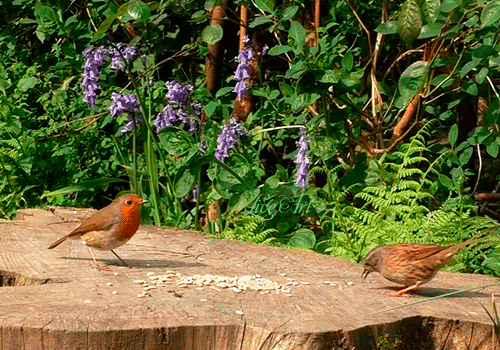 (100) радик васюков - Оренбург, Оренбургская обл., Россия, 59 лет на Мой Мир@Mail.ru