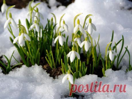 Приметы на Сретение Господне 15 февраля