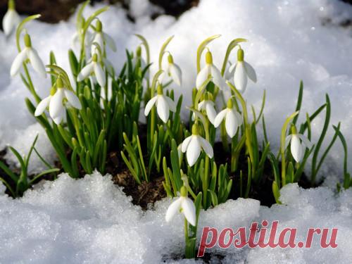 Приметы на Сретение Господне 15 февраля