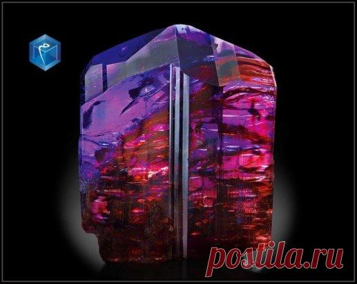 Танзанит, Танзания, 2009 г.
*********************************
Самый большой кристалл. Размеры: 9,5 х 5 х 10,5 см.
Большой, трехцветный, драгоценный кристалл с идеально завершенной верхней частью, основная грань фиолетовая, а боковая грань темно-синяя. Нормальные первичные и вторичные оттенки танзанита – синий и фиолетовый. Необработанный танзанит представляет собой трихроичный драгоценный камень, а это означает, что свет, попадающий в этот кристалл, преломляется под разными углами с различным ц