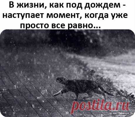 Открытки 2020