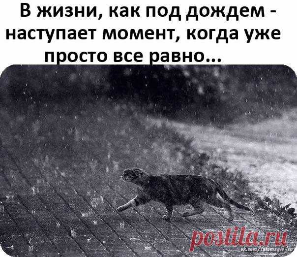 Открытки 2020