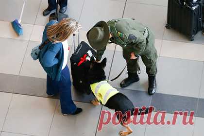 Пассажирки самолета скрыли наркотики в интимных местах и попались из-за походки. Две пассажирки, прячущие наркотики в интимных местах, были задержаны полицией аэропорта при попытке сесть на самолет. Две колумбийки, пытавшиеся улететь из международного аэропорта города Картахена в Колумбии на остров Сан-Андрес, попались полиции из-за одной детали — поведение женщин вызвало подозрение.