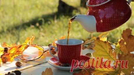 Картинки доброе утро все будет хорошо красивые осенние (62 фото)