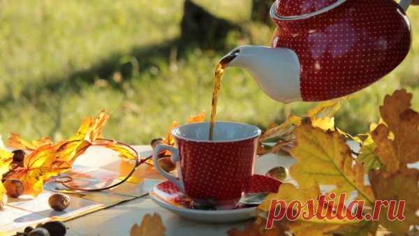 Картинки доброе утро все будет хорошо красивые осенние (62 фото)