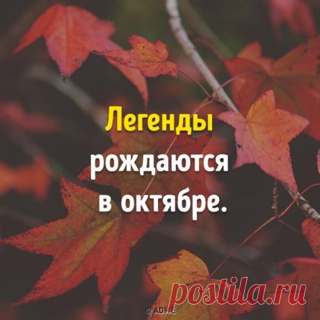Ученые доказали: месяц рождения влияет на наше здоровье и характер
