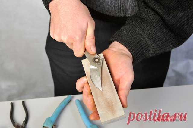 Жуёт и плохо режет: как наточить секатор? | 6 соток
