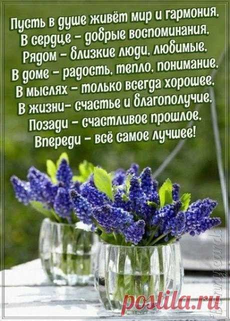 Мой Мир@Mail.Ru