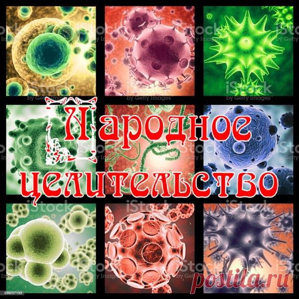 ОЛЬГА БУТАКОВА: ВАЖНО! БАКТЕРИИ, С КОТОРЫМИ МЫ ВСТРЕЧАЕМСЯ КАЖДЫЙ ДЕНЬ
Из курса лекций 