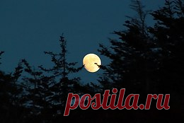 Обо всем