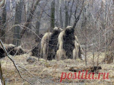 Природа России в фотографиях | ТУРИЗМ И ОТДЫХ
