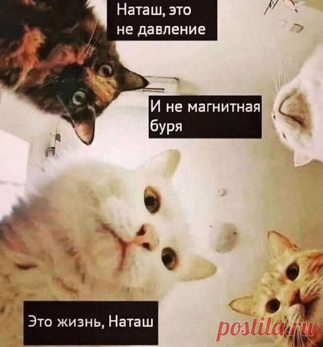 н