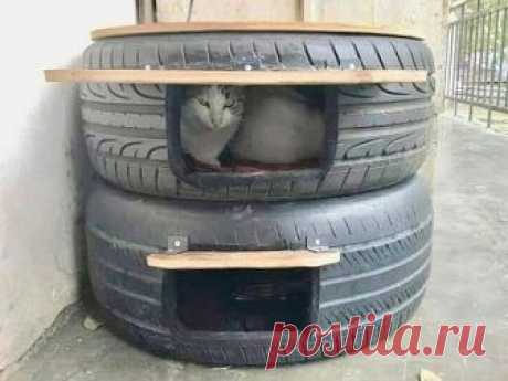 Домик для уличных котов из старых шин - укроет от дождя, ветра и невзгод