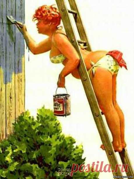 Мой блог: Хильда - очаровательная толстушка