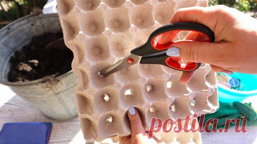 Не выкидывайте лотки из-под яиц. Покажу, как я их использую у себя в огороде не по назначению | Шебби-Шик | Дзен