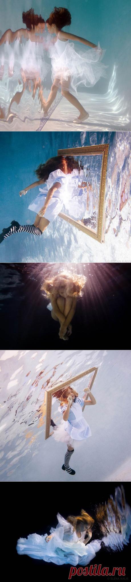Prafulla.net - Photography - Underwater Photography by Russian Elena Kalis