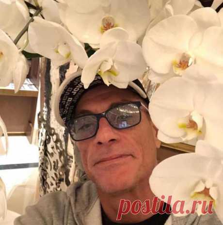 Все как в молодости: Жан-Клод Ван Дамм показал чем занимается во время путешествий