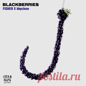 FISHER (OZ), bbyclose - Blackberries | 4DJsonline.com