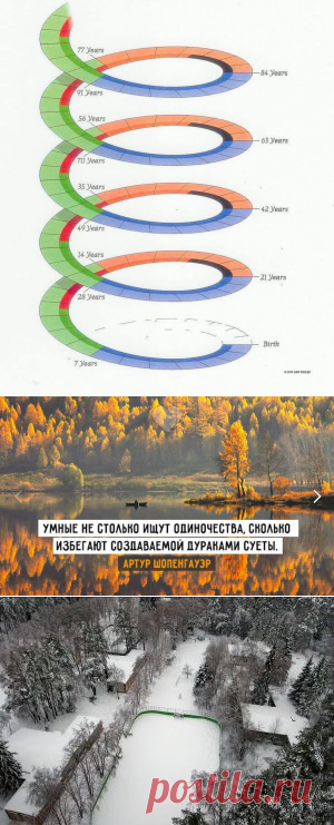 Семилетние циклы жизни человека
