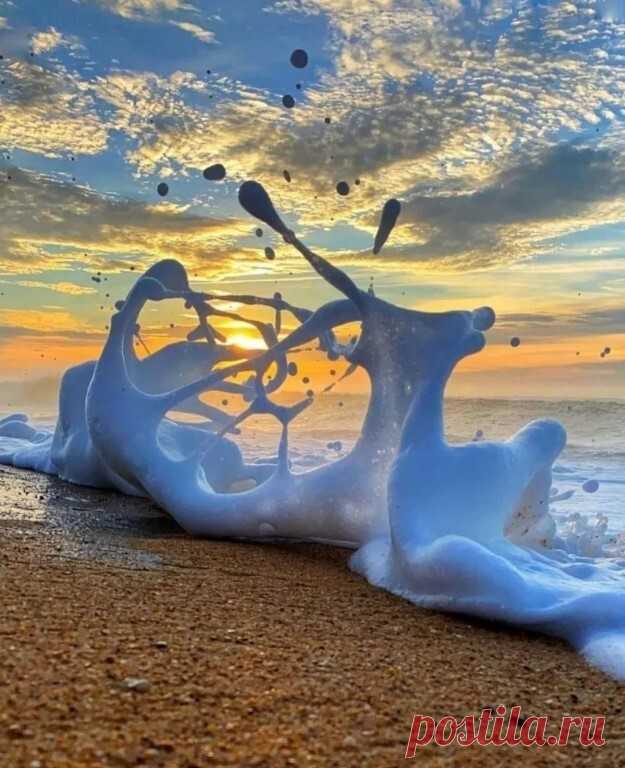i (625×768)