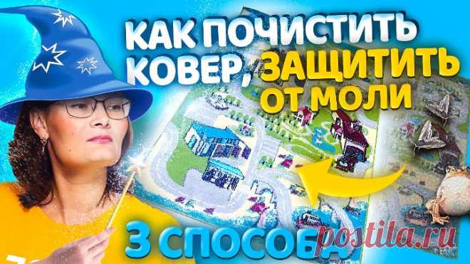 ПОЧИСТИТЬ КОВЕР от СТОЙКИХ ПЯТЕН и ПЛЕСЕНИ. Устранить ЗАПАХ МОЧИ, ЖИВОТНЫХ,
