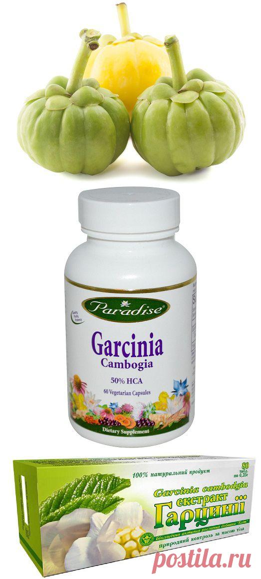 Гарциния камбоджийская – добавка, которая поможет похудеть | ДЕРЖИМ ФОРМУ