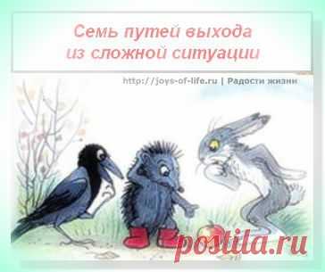 Семь путей выхода из сложной ситуации | joys-of-life.ru Радости жизни