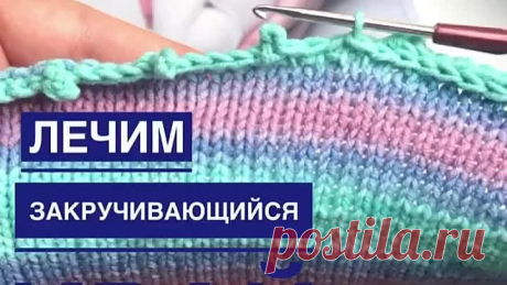 nitkivdele_feed_2021_08_02