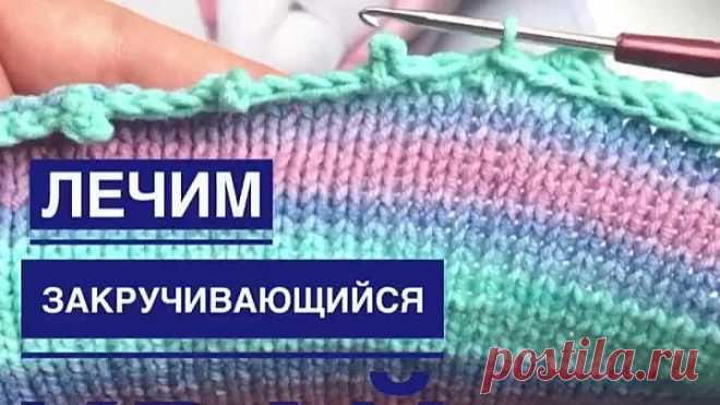 nitkivdele_feed_2021_08_02