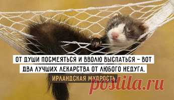 Здоровый сон http://www.doctorate.ru/zdorovyj-son-1-variant/