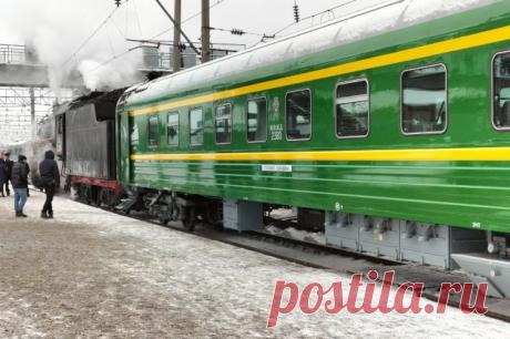 В Кирове сотни добровольцев ищут выброшенного из поезда кота Твикса. Кота могла подобрать местная жительница.